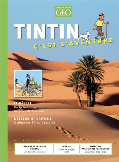 Tintin, c'est l'aventure T13 Le désert
