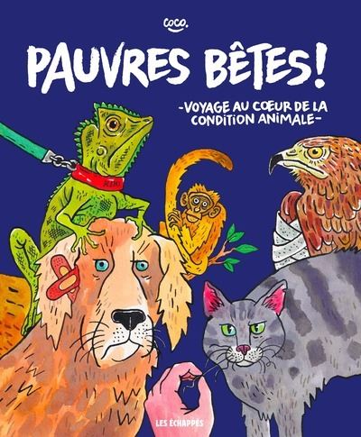 Pauvres bêtes !
