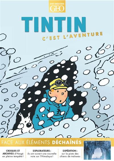 Tintin c'est l'aventure T22